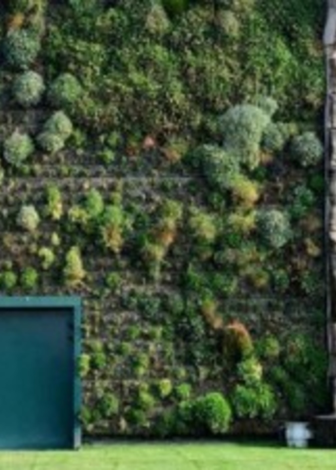 روتسانو أكبر حديقة عامودية في العالم