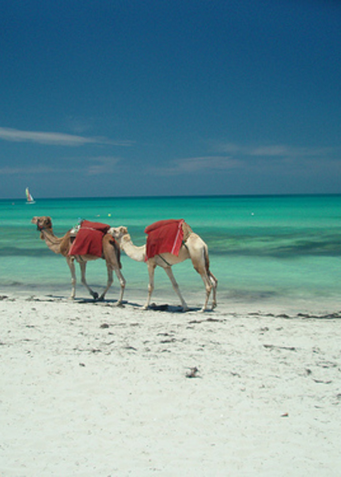 جزيرة جربة في الجنوب التونسي