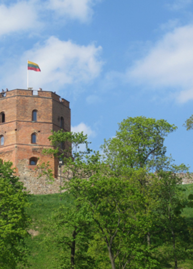 برج قلعة جيديميناس