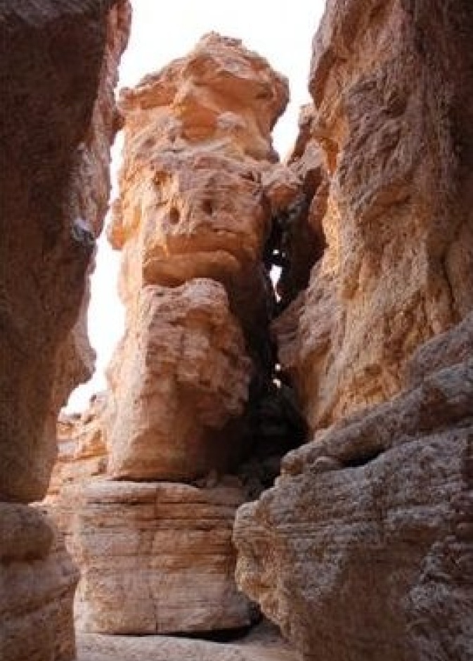 منتزه الثمامة