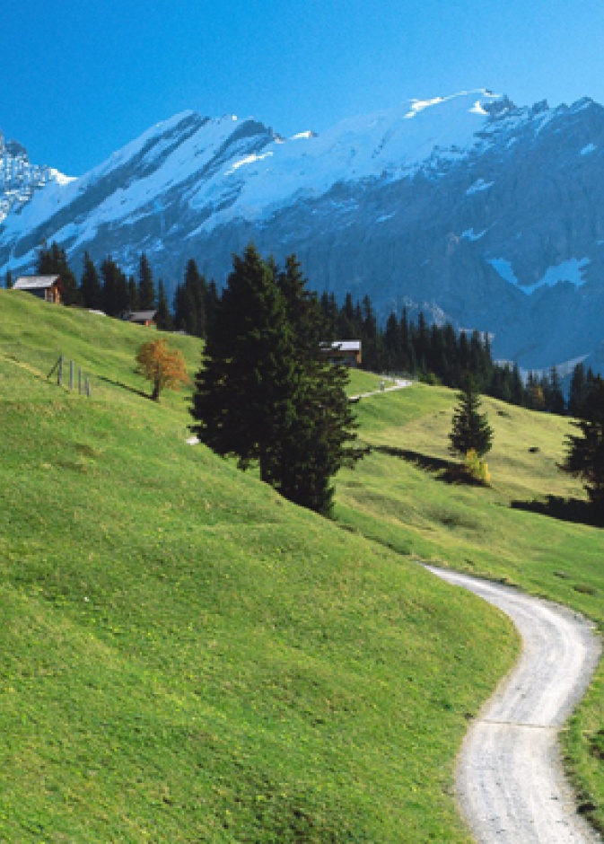 بيرنيز أوبرلاند، سويسرا