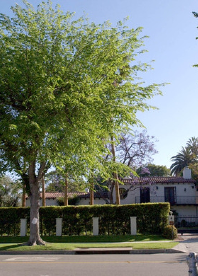 منزل ثورتن وانجلينا جولي