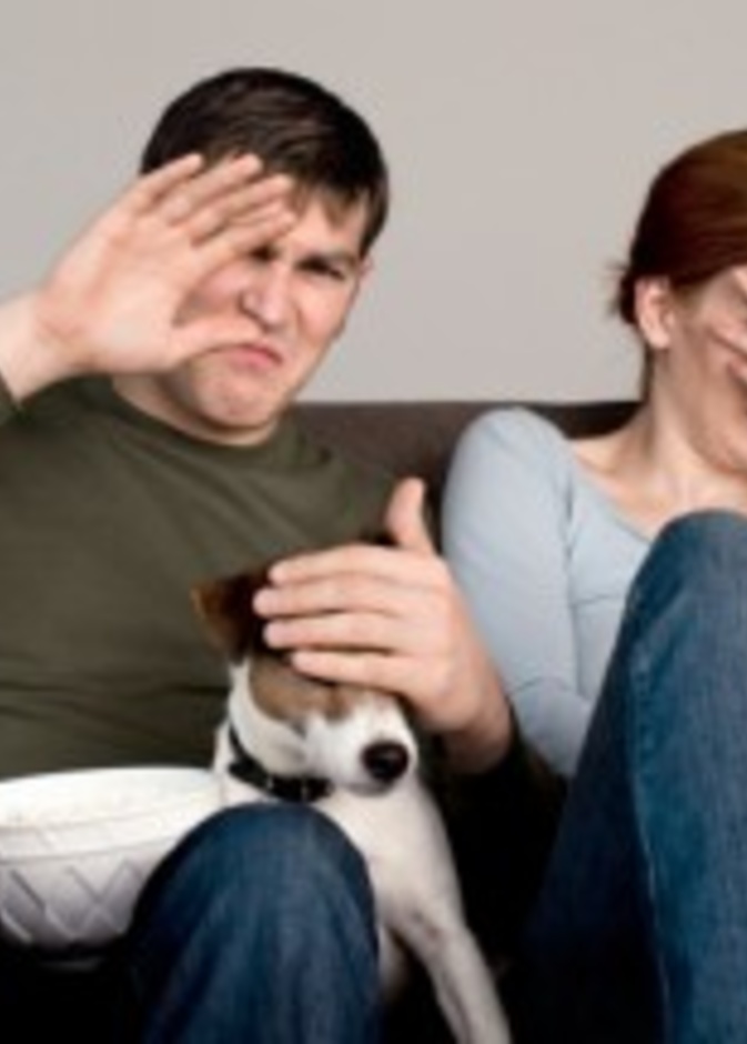 حمية أفلام الرعب