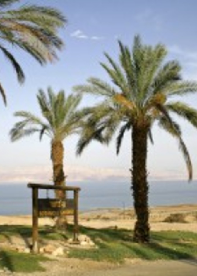 عطلة لا تُنسى في جنوب سيناء