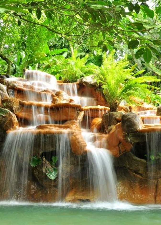 جمال الشالالات وسط الغابات