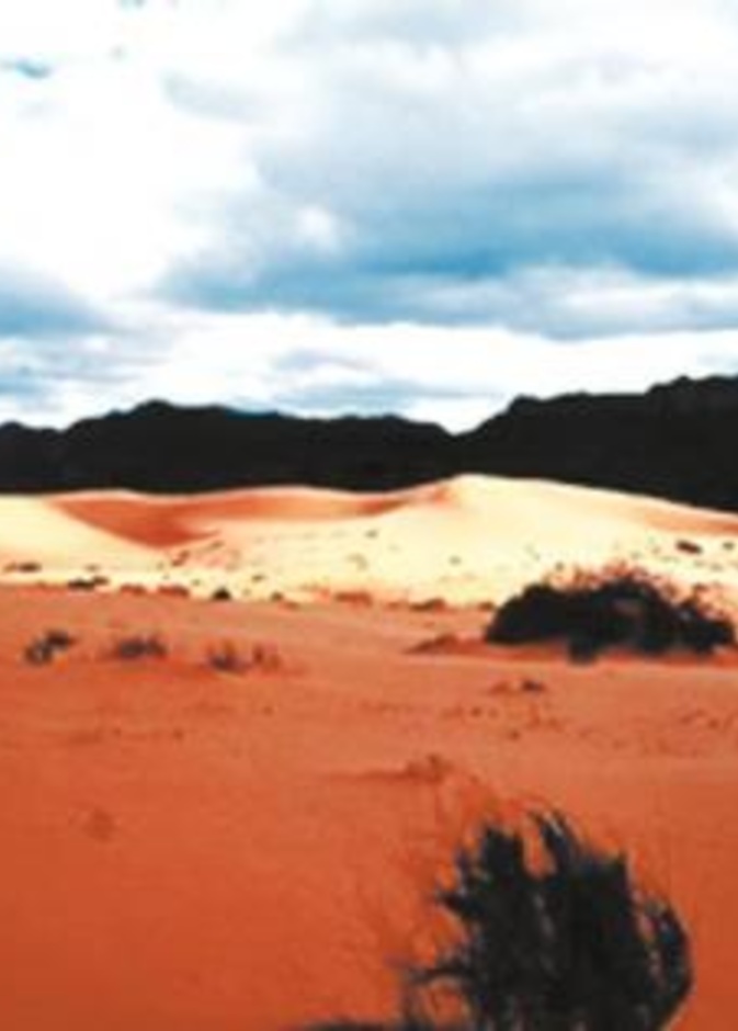 جمال نفوذ حائل