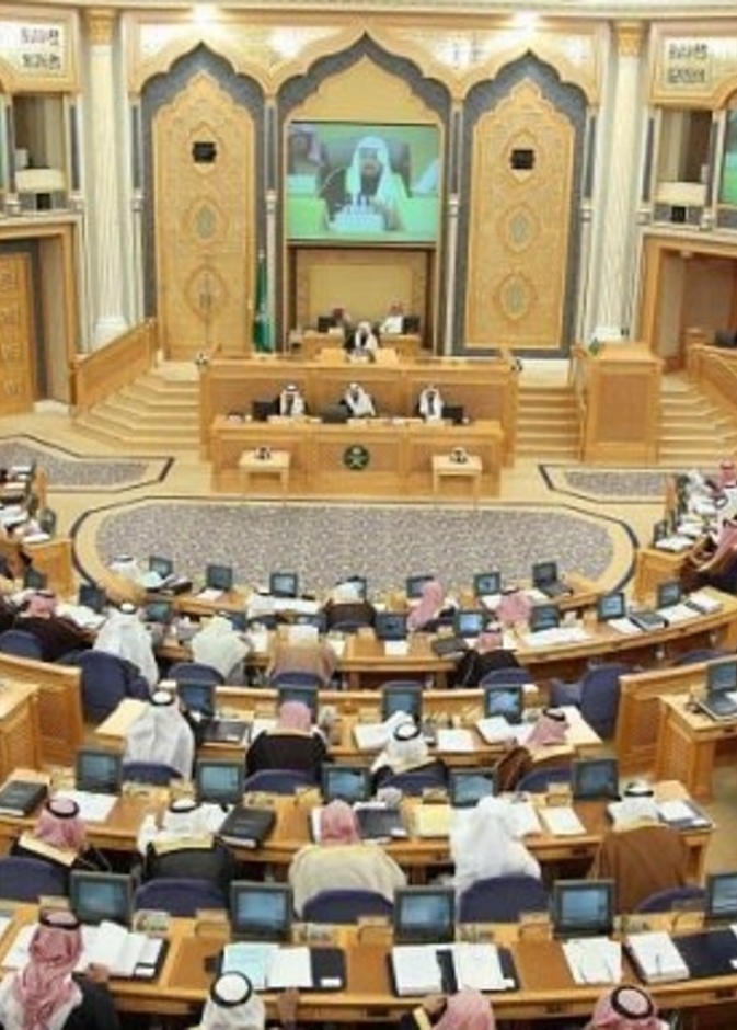 سيدات جازان يعبرن عن سعادتهن بإشراك المرأة في مجلس الشورى