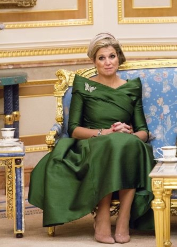 الأميرة ماكسيما في سلطنة بروناي