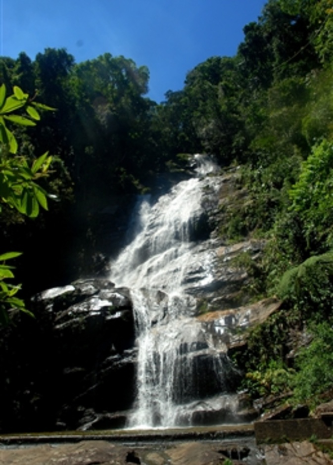 Tijuca National Park