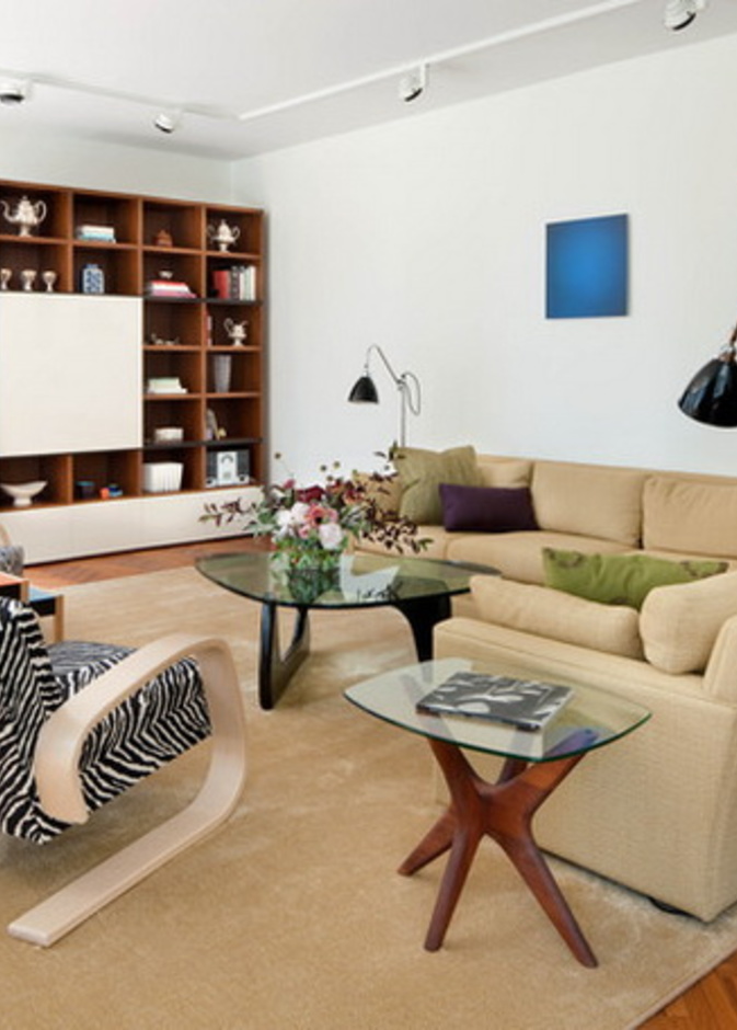 مطبوعات الحمار الوحشي لمسة ديكورية في غرفة معيشة