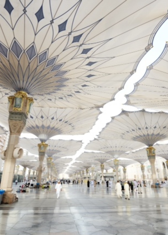 المدينة المنورة