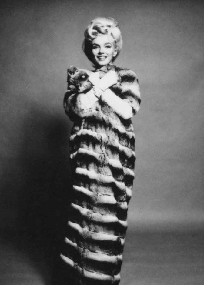 Marilyn in Chinchilla