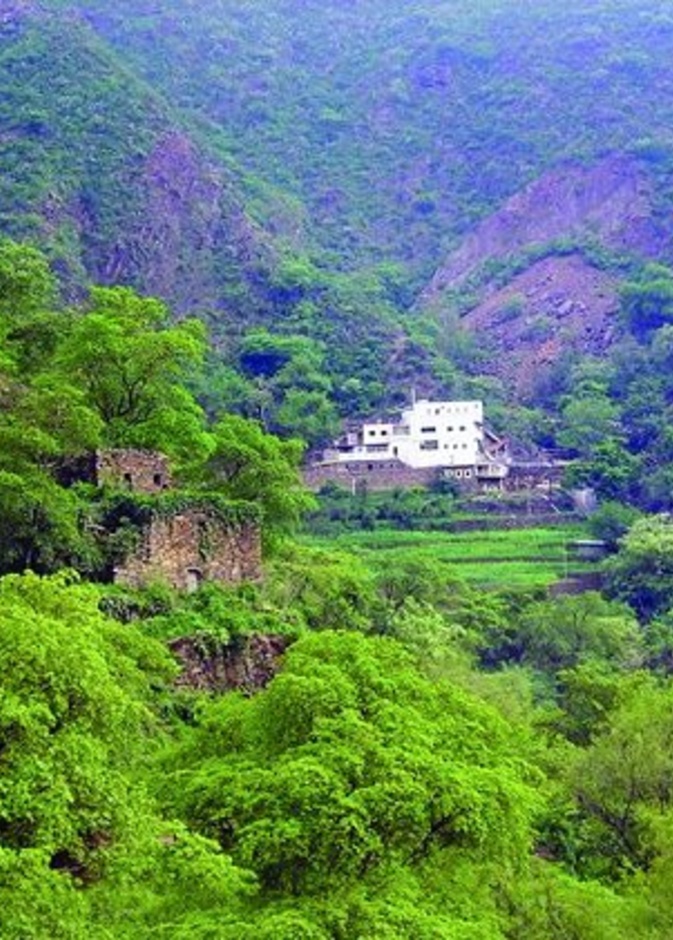 اطلالة على القرية