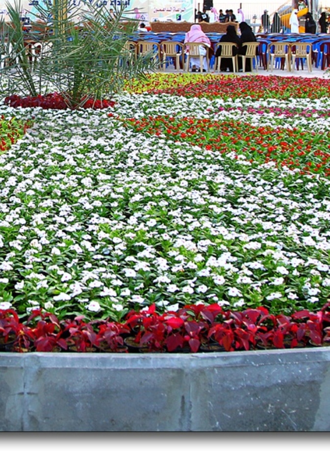 مهرجان الزهور