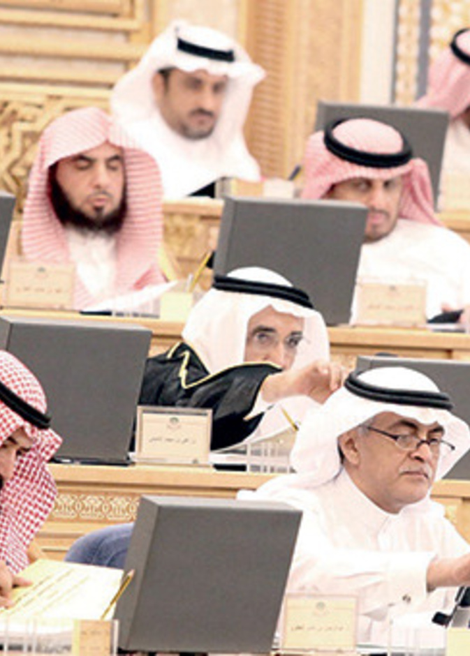 أعضاء المجلس أثناء التصويت