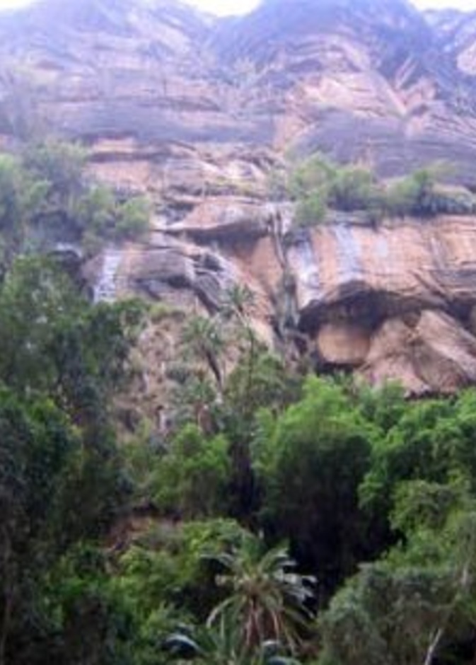 اطلالة جانبية