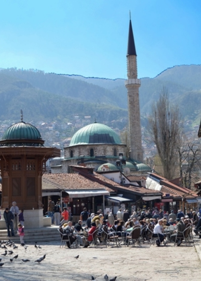 الباشجارشيا