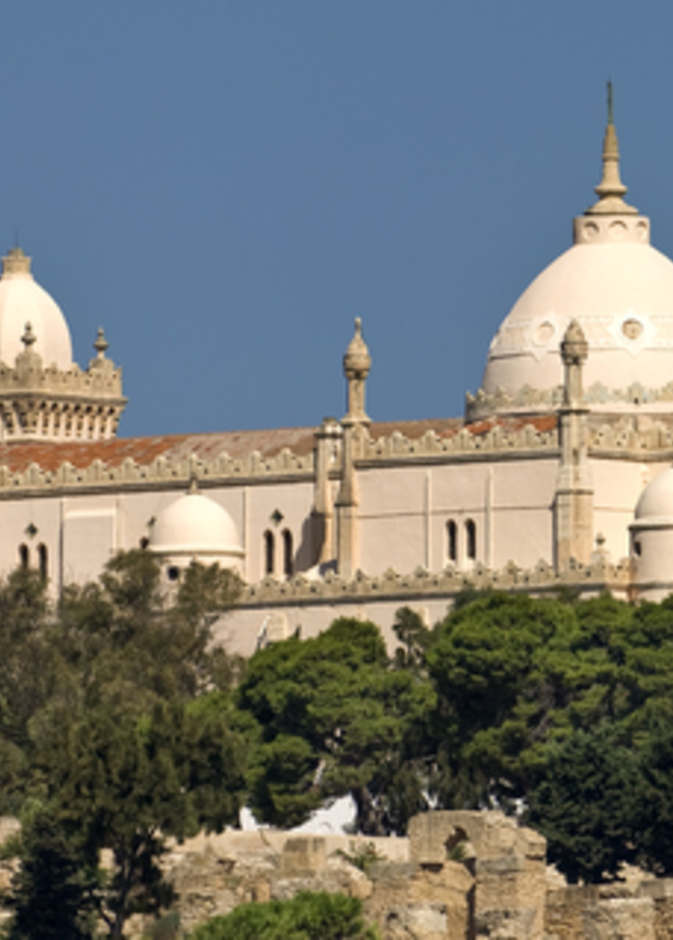 كاتدرائية سانت لويس يرى من الموانئ البونية