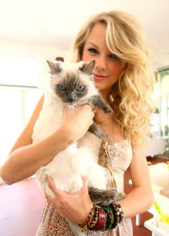 Meredith Swift قطة تايلور سويفت