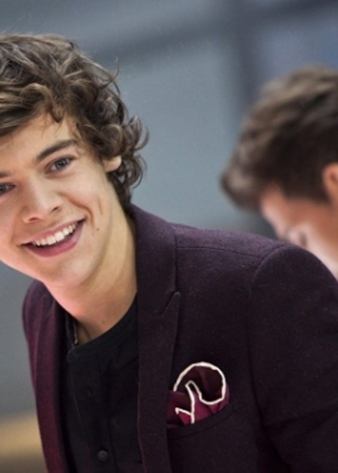 هاري ستايلز يبحث عن منزل جديد في ماليبو