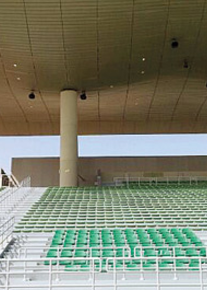 استاد الطالبات