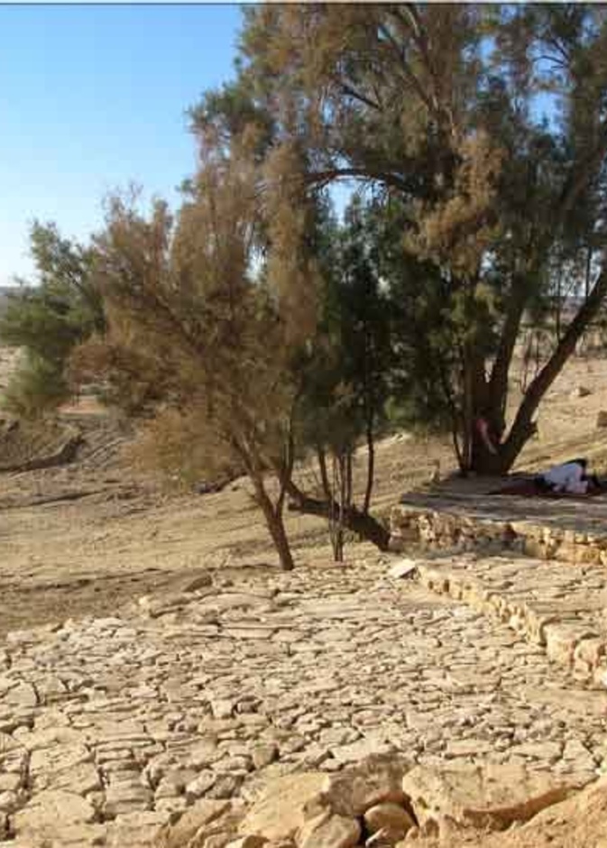 اطلالة على المنطقة