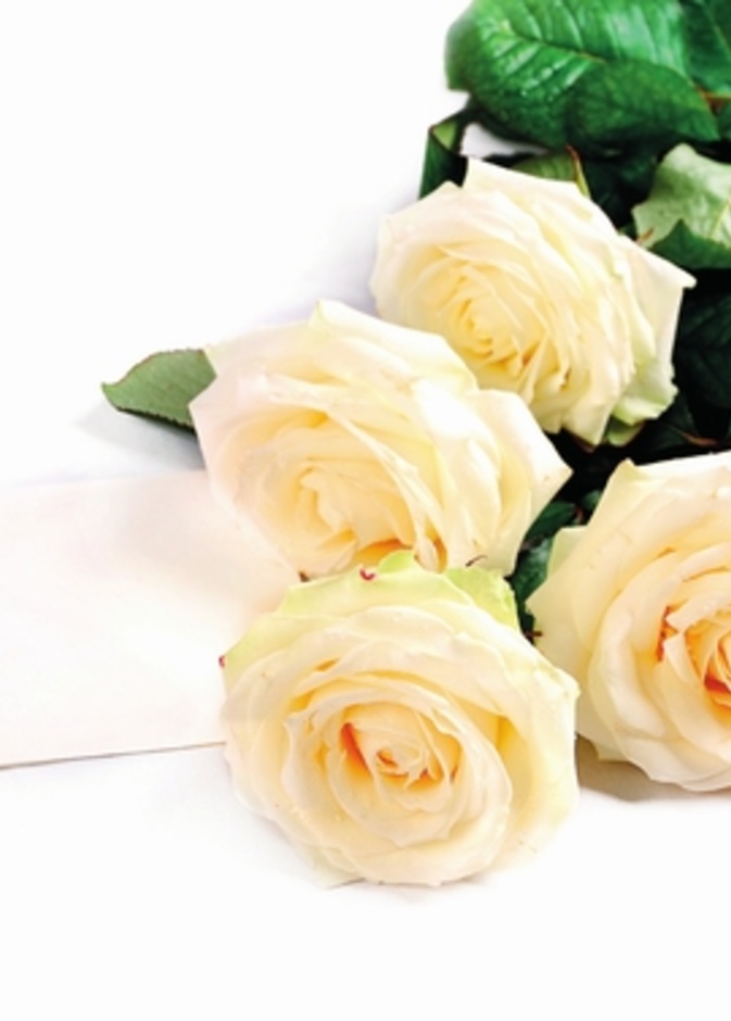 نظمي حفل زفافك بعشر خطوات بسيطة