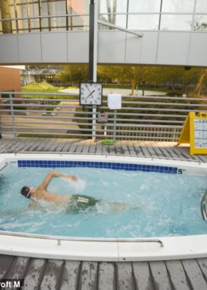 احدى بركتي السباحة المخصصتين للموظفين