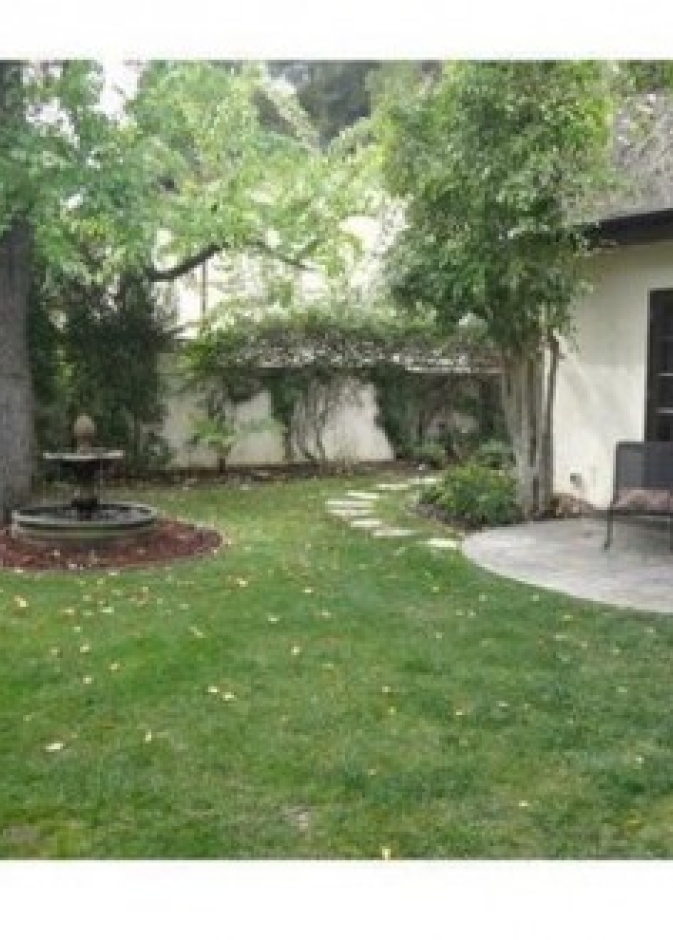 الحديقة الخلفية