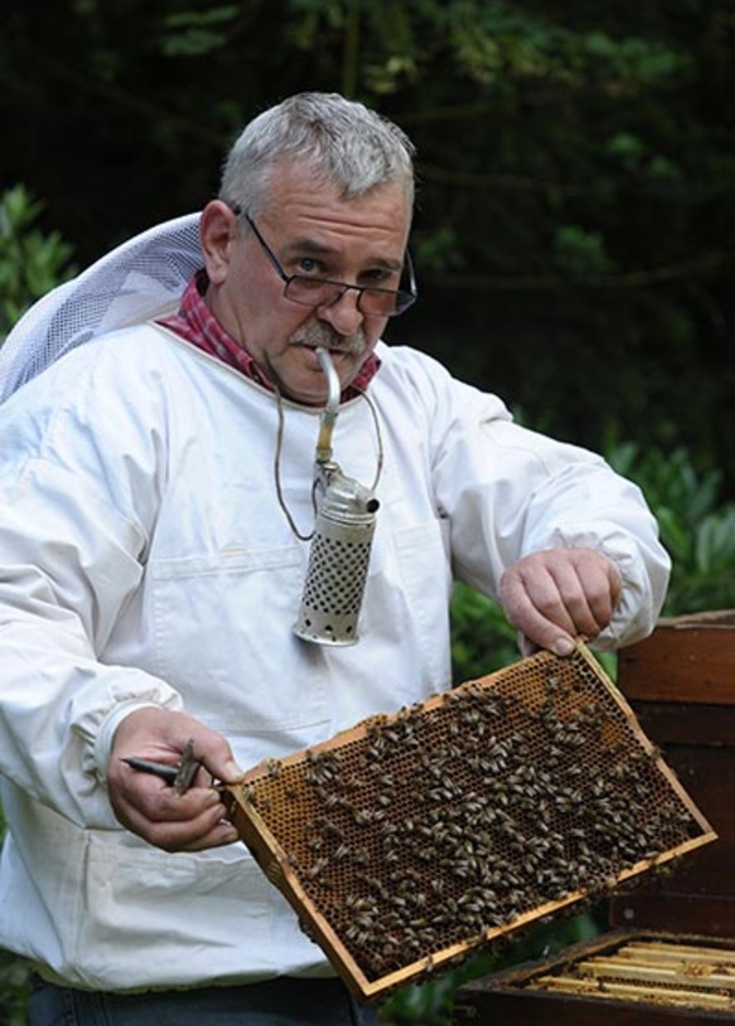 السيد كولب المسؤول الاول عن العناية بالنحل