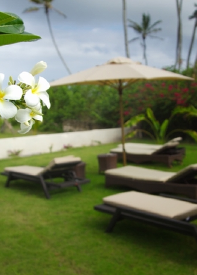 الصورة عن قرب، زهرة مع خلفية من منتجع الشاطئ الاستوائية في كينيا