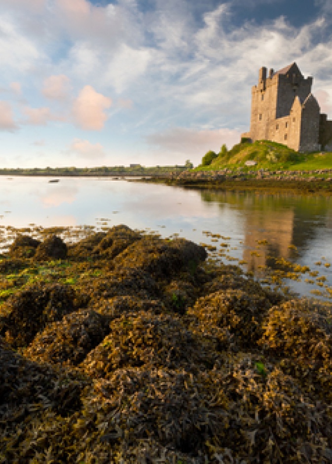 Dunguaire القلعة عند غروب الشمس، شركة غالواي، ايرلندا