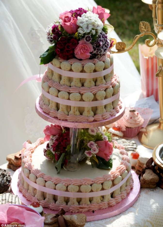 كعك مزين على شكل طعام الكلاب