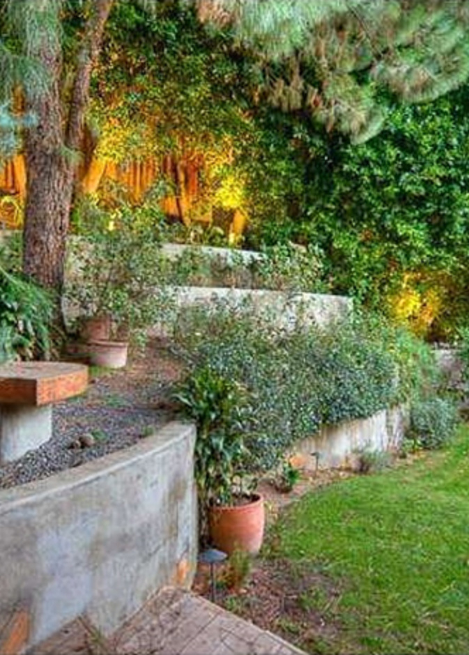 الحديقة الخلفية