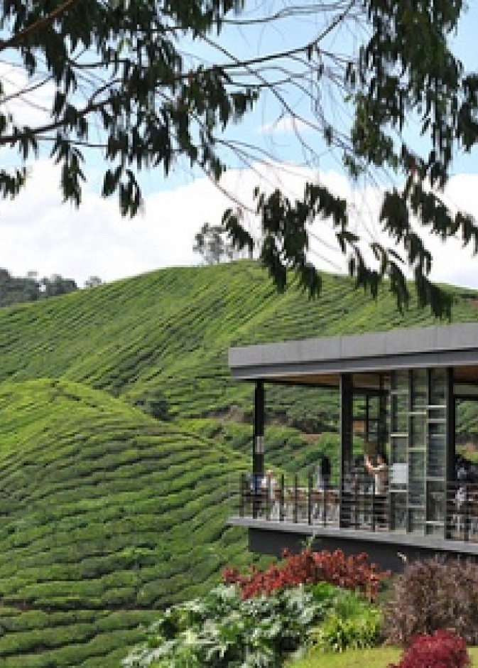 Brinchang and Tanah Rata