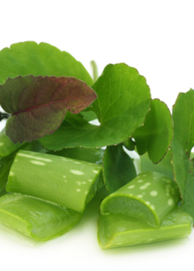 تعرفي الى فوائد الريحان