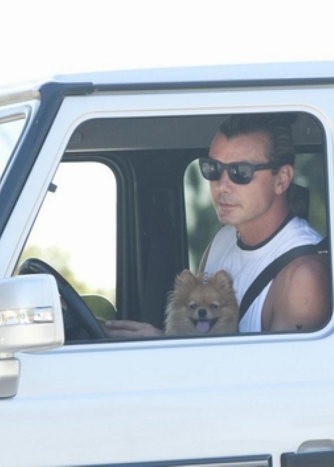 هل سيحصل نجم هوليوود Gavin Rossdale على مخالفة؟