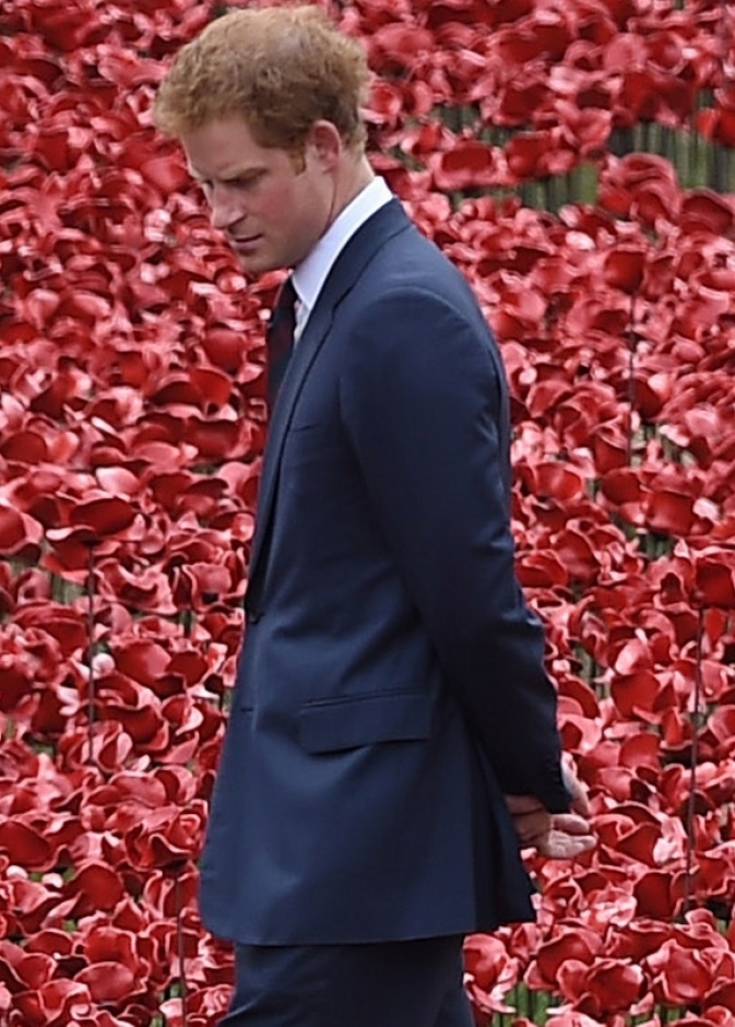 هل يفلت الأمير هارى من شرك كاسحة الألغام كاميلا