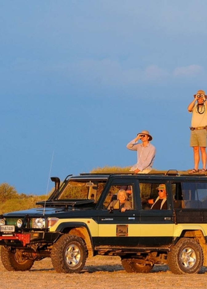 وجهات سياحية للراغبين بمشاهدة الحيوانات البرية