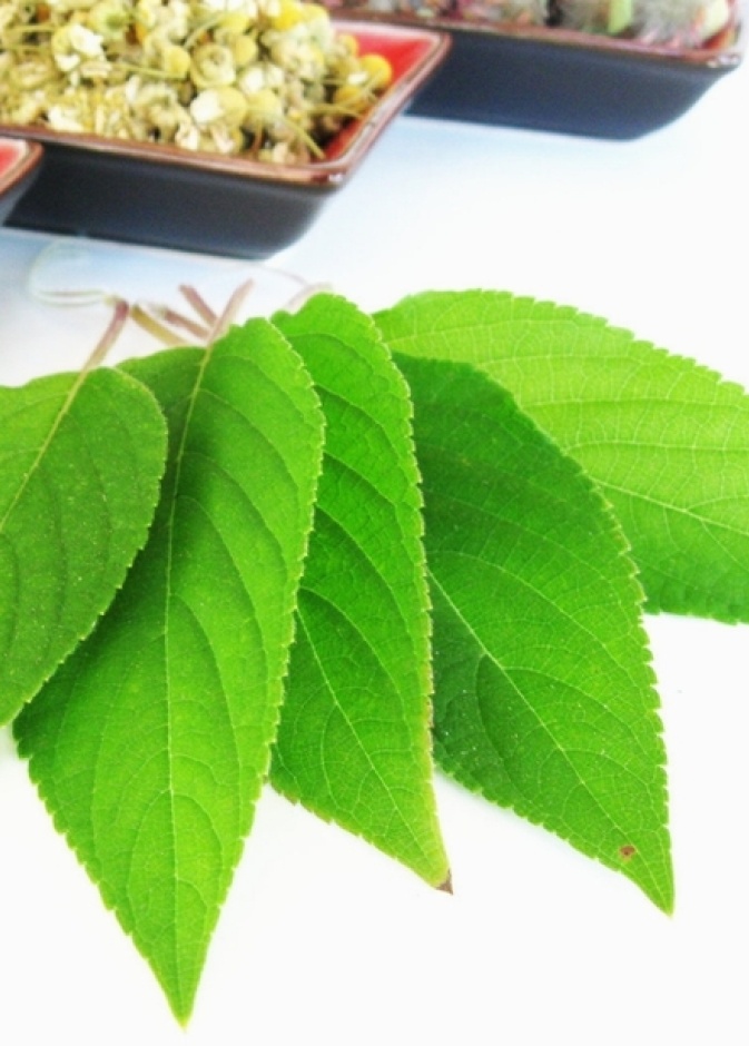 الاعشاب ستساعدك للتخلص من السموم والسوائل الزائدة .