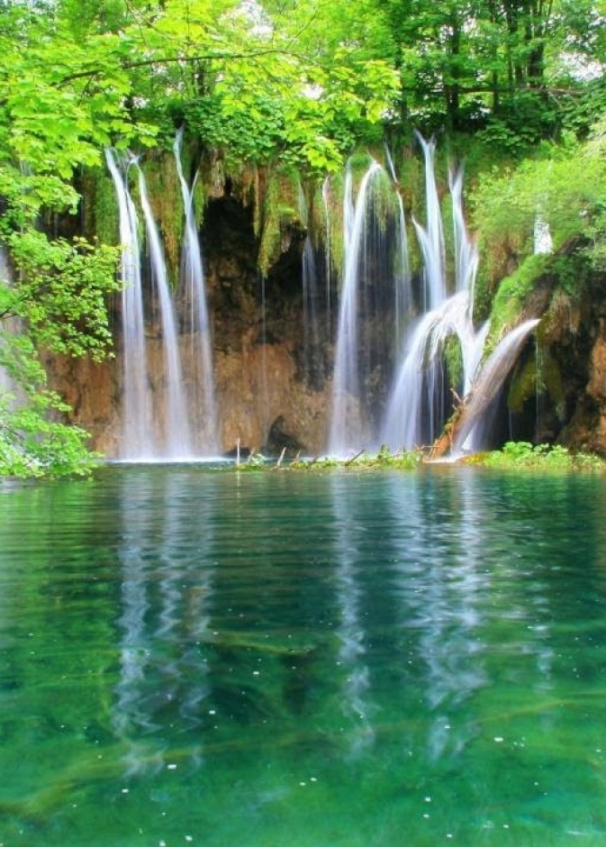 الكثير من المسافرين والسائحين بدأوا يقبلون على زيارة منتزه  Zakouma في شمال تشاد بعد أن أدركوا سحر وجمال هذا المنتزه الرائع