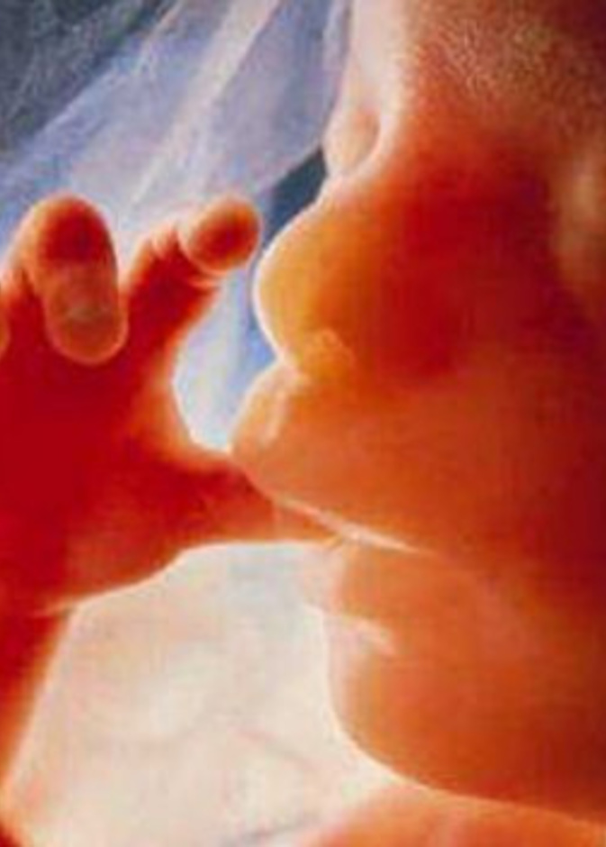 هل يستطيع الجنين التمييز بين صوت الرجل وصوت المراة