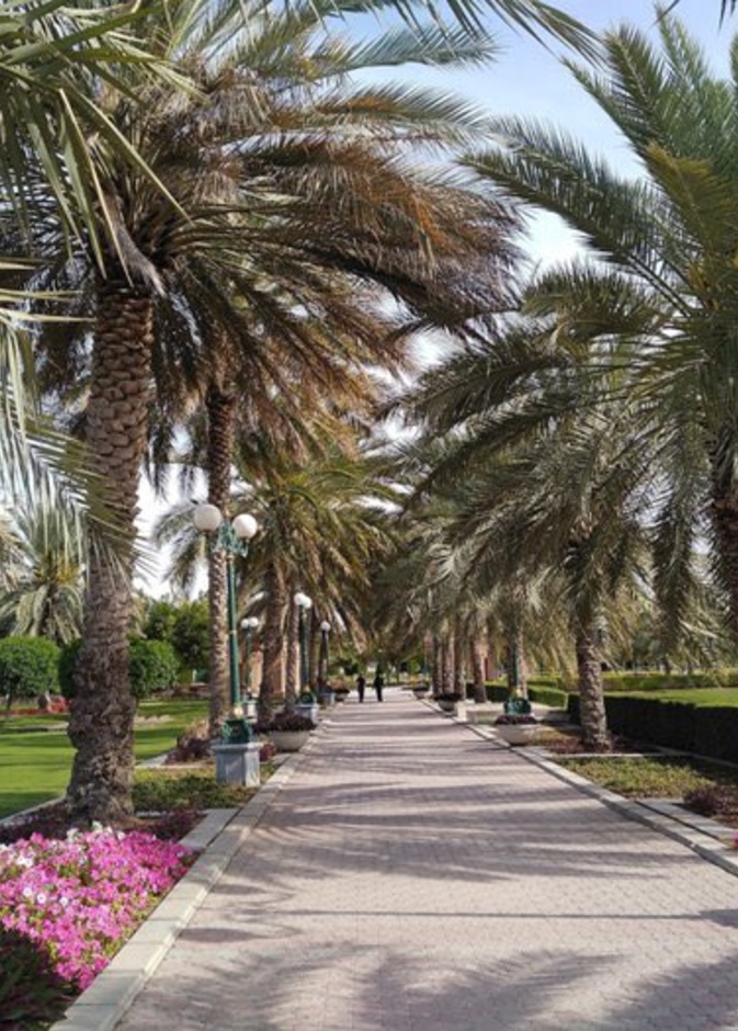 حديقة العليا Olaya Park