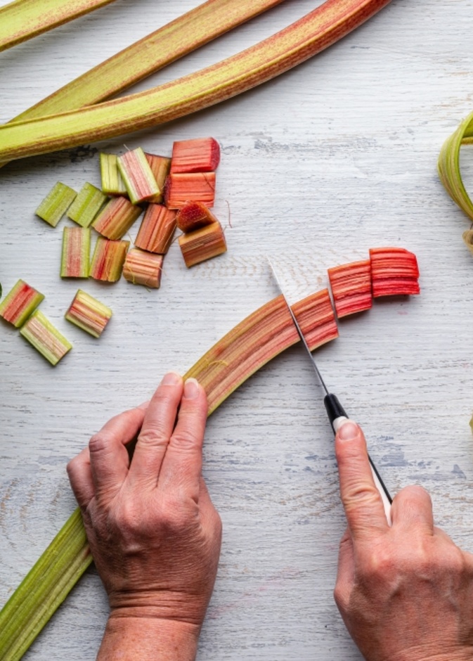  فوائد عشبة الراوند للكبد