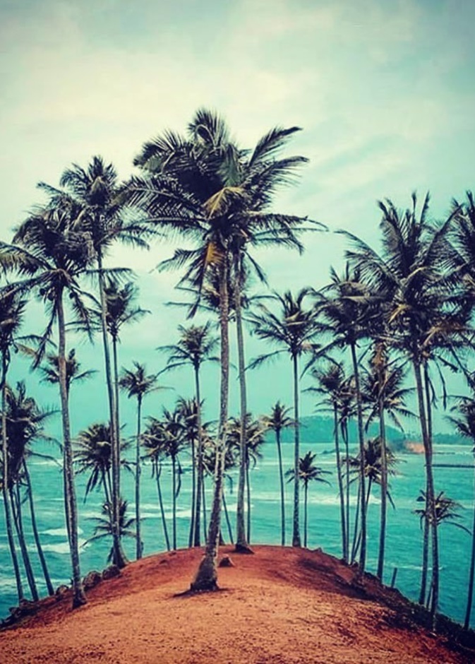 شاطئ ميريسا Mirissa Beach