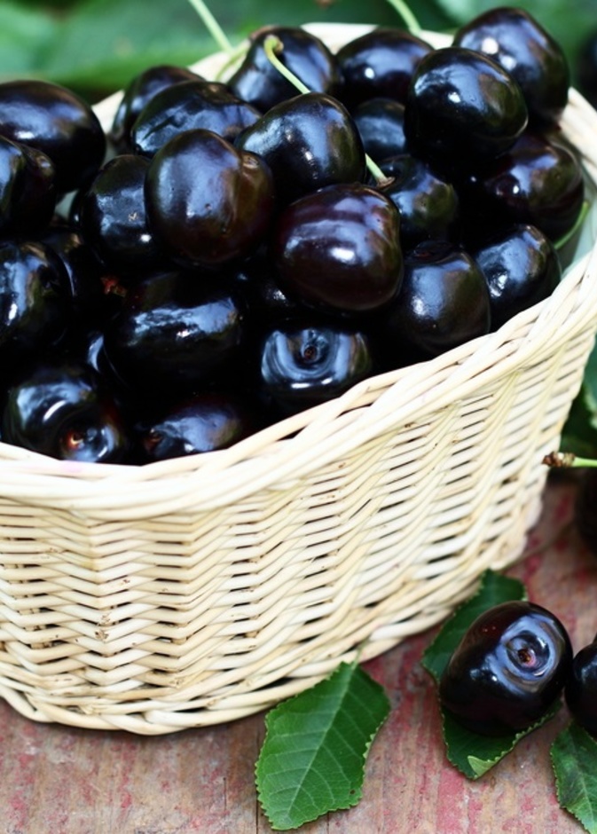 فوائد الكرز الاسود الصحية