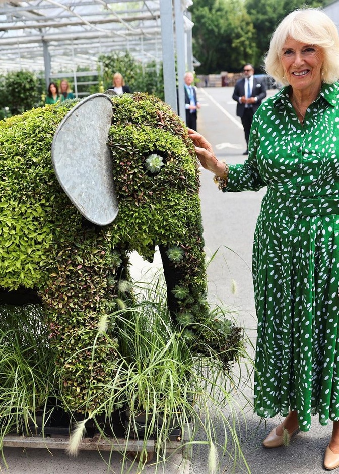 كاميلا وصوفي تتألقان بفستان متشابه