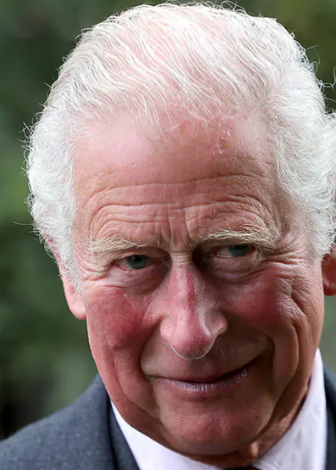 الأمير تشارلز يتحدث عن مشروعه الجديد