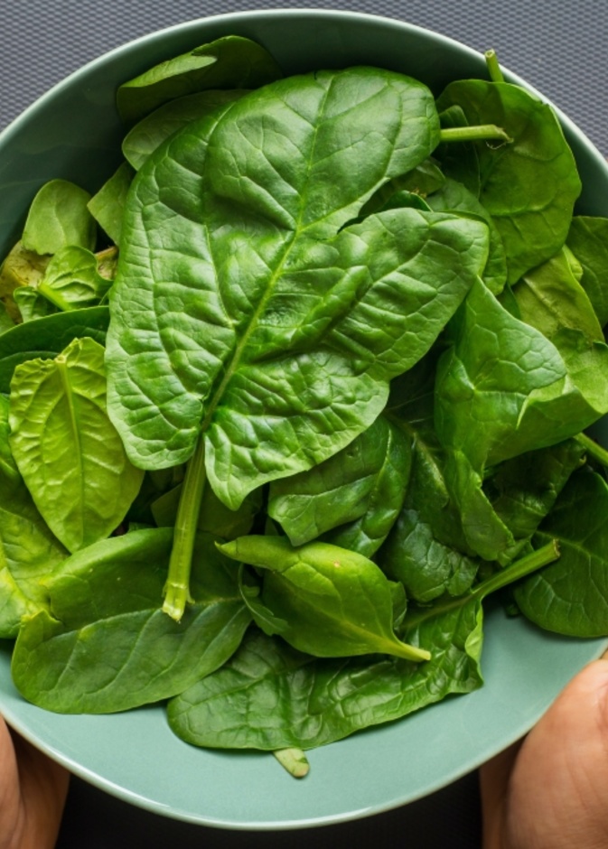 دراسة: السبانخ وتأثيره على سرطان القولون