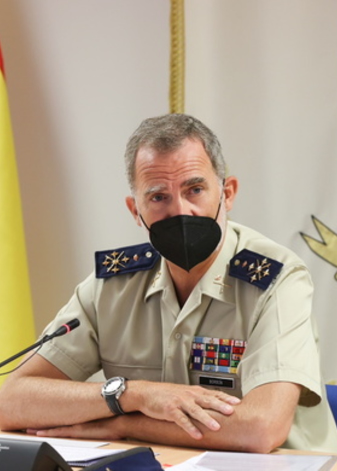 الملك فيليب يتابع آخر تطورات أزمة ثوران بركان لا بالما